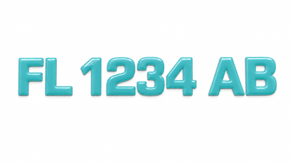 Domed Registration Numbers